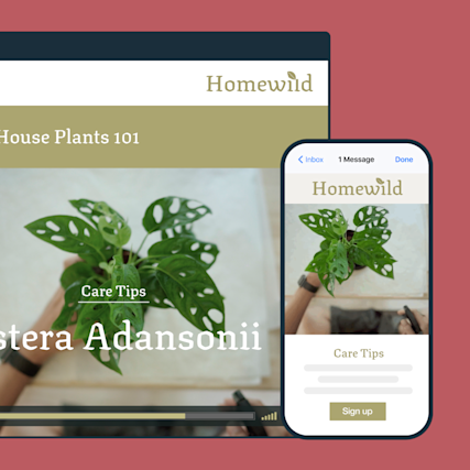 Vimeo Reach your Audience