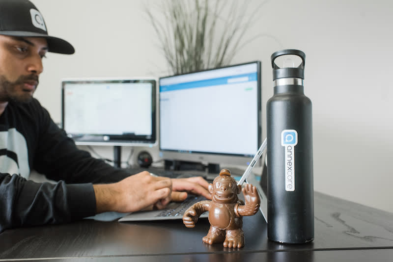 Developer working at desk with dual monitors, black water bottle, and decorative brown monkey figurines on dark surface