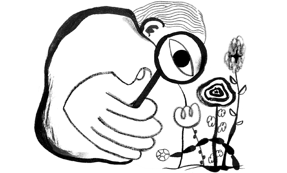 Illustration of a person viewing flowers with a magnifying glass