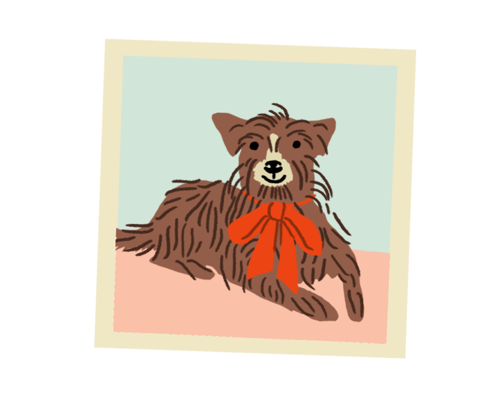 Cartoon illustration of a smiling brown shaggy dog wearing a large red bow, set against a mint green and pink background