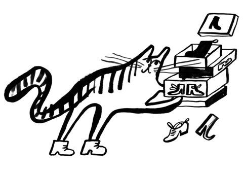 A cat holding up shoe boxes