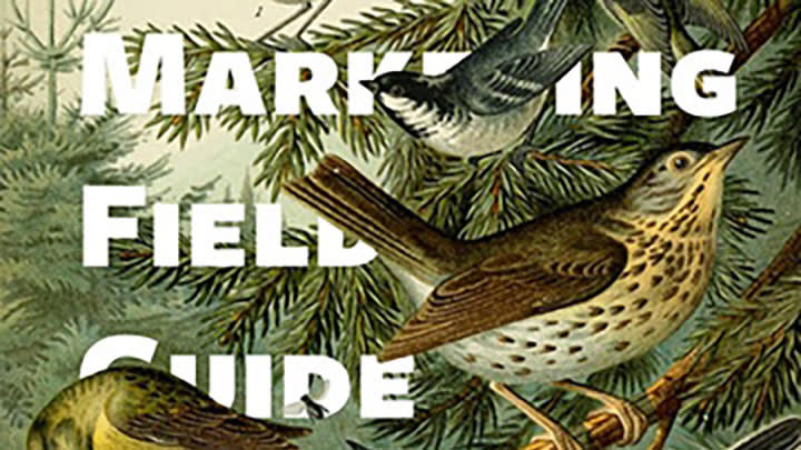 Marketing Field Guide