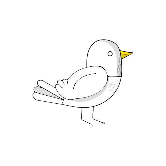 What is early bird pricing?