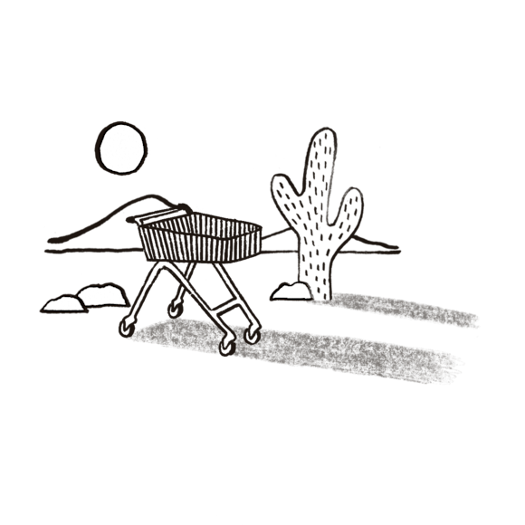 Shopping cart in the desert, next to a cactus