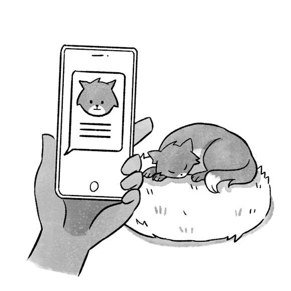 sms message on a phone with a cat in the background