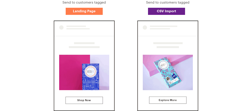 Illustration showing 2 separate campaigns sending to different tags