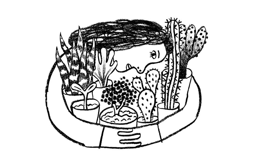 Woman holding multiple types of cacti