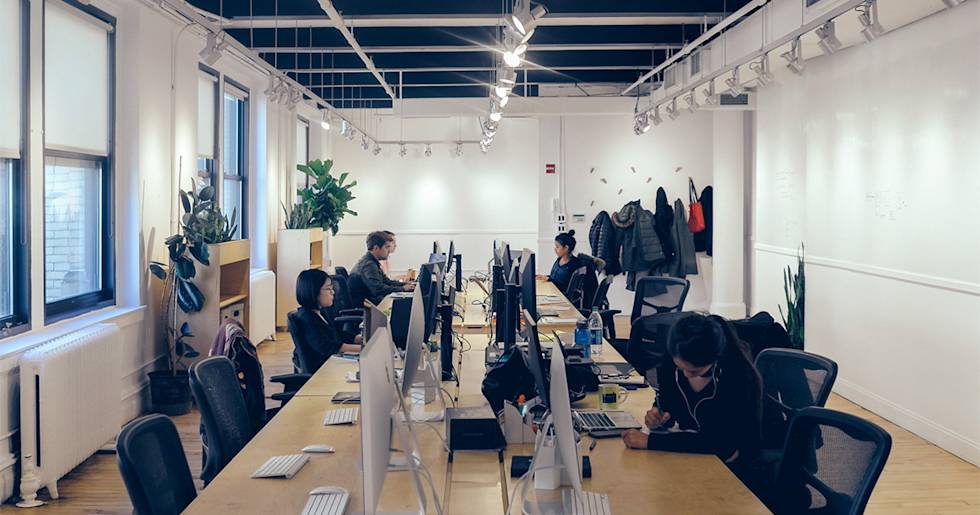 Modern office space with people working at long desks with iMacs, track lighting above, and plants by bright windows