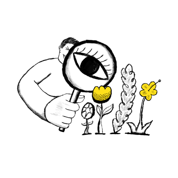 Pros and Cons of Using Subdomains