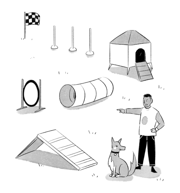 dog agility course