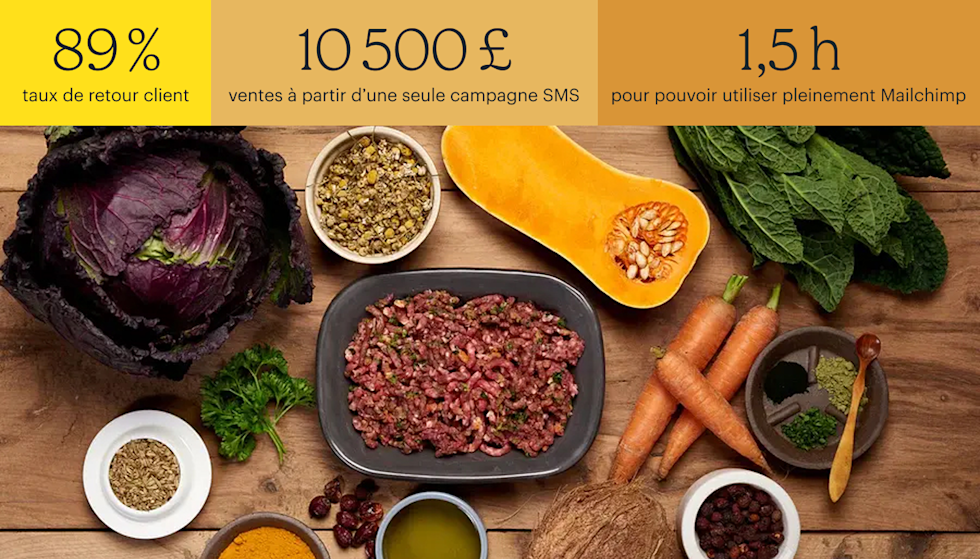 Vue aérienne d'aliments crus, notamment du chou, des carottes et de la courge disposés sur une table en bois autour d'un bol de nourriture naturelle pour chiens. Les statistiques en haut indiquent : 89 % de taux de fidélisation des clients, 10 500 £ de ventes à partir d'une seule campagne SMS, et 1,5 heures pour une configuration complète dans Mailchimp.