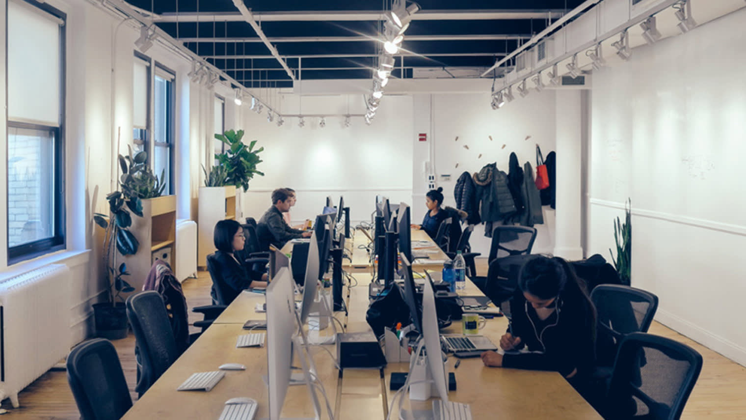 Modern open office space with people working at computers, track lighting above, potted plants by windows, and coats hanging on wall