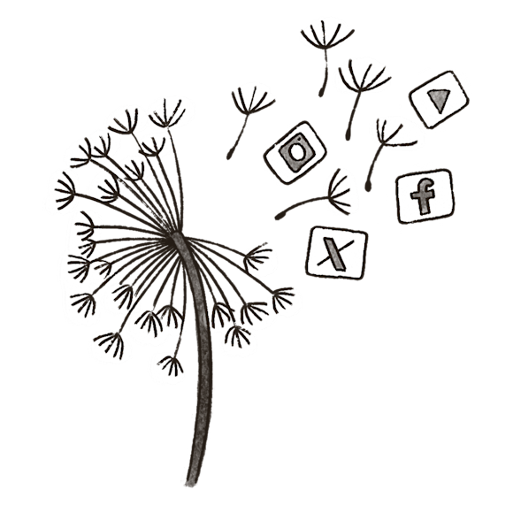 dandelion with seeds blowing away