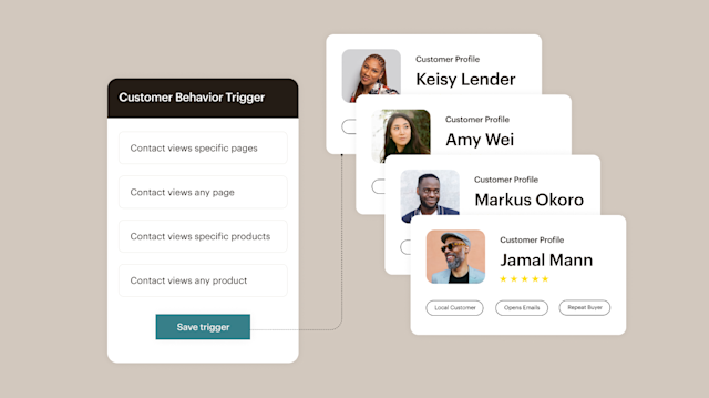 Dashboard displaying customer profiles and Mailchimp’s audience segmentation tools for marketing campaigns.