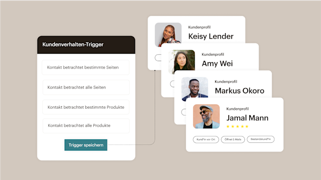 Dashboard mit Kundenprofilen und Mailchimps Tools zur Zielgruppensegmentierung für Lead-Ad-Kampagnen.
