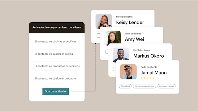 Panel de control que muestra los perfiles de clientes y las herramientas de segmentación de audiencia de Mailchimp para campañas de anuncios dirigidas.
