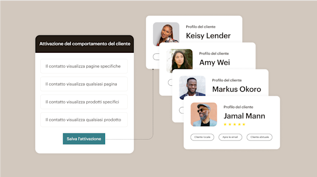 Dashboard che mostra i profili dei clienti e gli strumenti di segmentazione del pubblico di Mailchimp per le campagne pubblicitarie per i lead.
