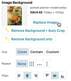 popup-form-replace-background-iage