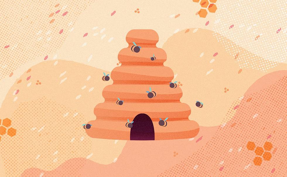 Hero image for How Bee’s Wrap Calls Customers to Action