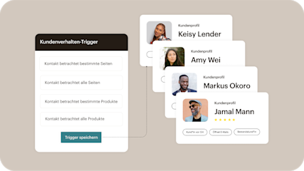 Dashboard mit Kund:innenprofilen und Mailchimps Tools zur Zielgruppensegmentierung für Marketingkampagnen.