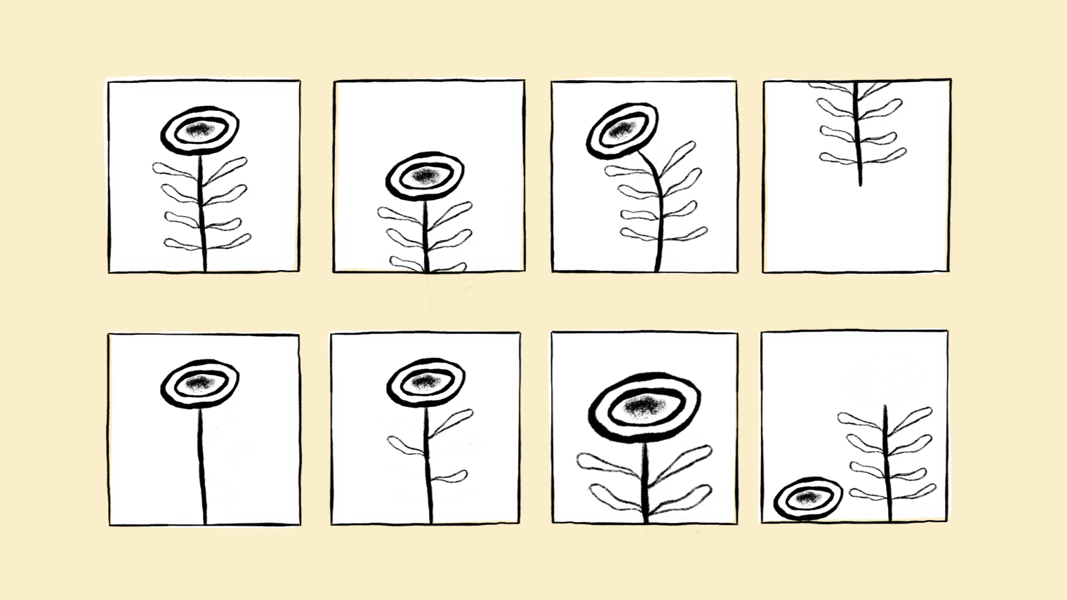 Eight boxes featuring various illustrations of the same flower