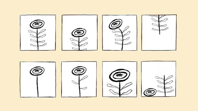 Eight boxes featuring various illustrations of the same flower