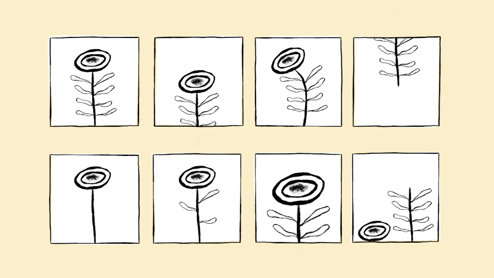 Eight boxes featuring various illustrations of the same flower