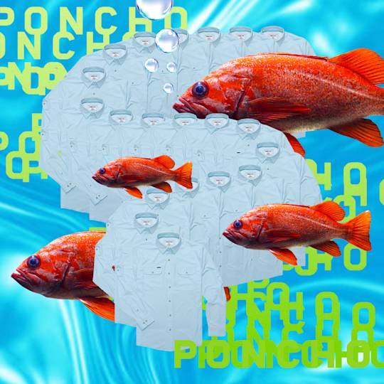 Bright orange fish swimming among arranged white dress shirts against turquoise water and neon green text background