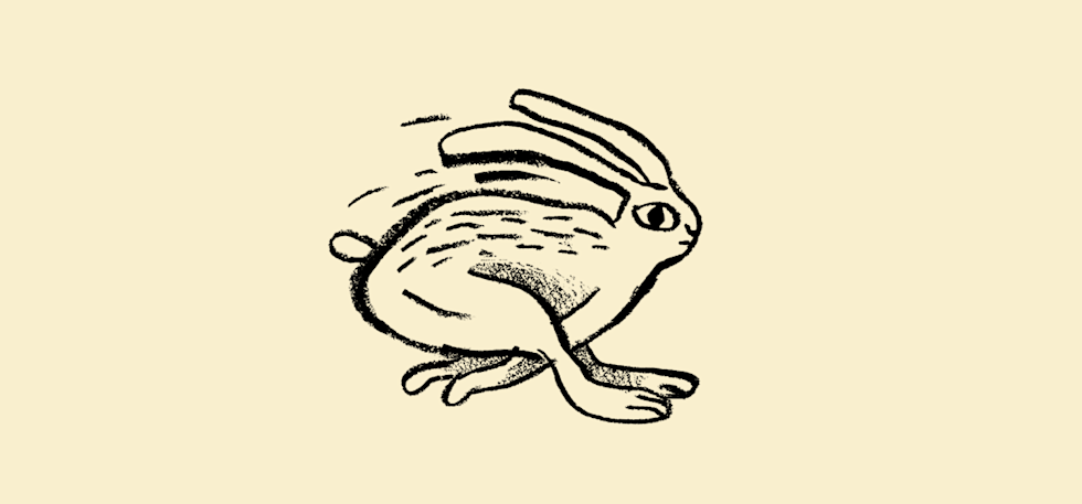 Doodle of a fast moving bunny. 
