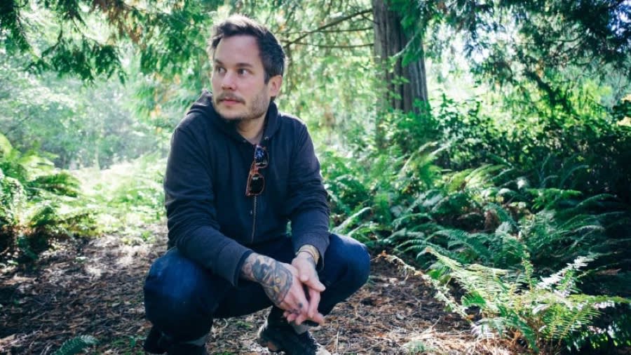 Person in navy hoodie crouching on forest path surrounded by lush ferns and evergreen trees in dappled sunlight