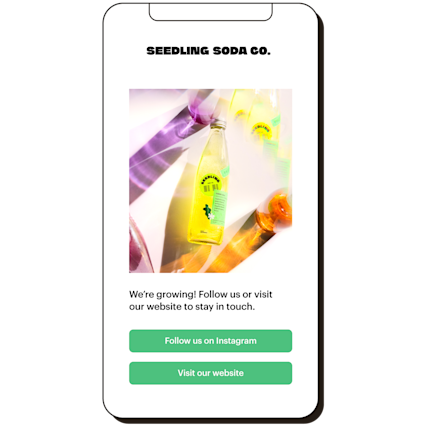 A mobile landing page for Seedling Soda Co. Image with links to follow on Instagram or visit the website.