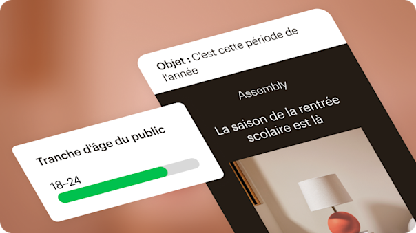 Exemple de visualisation d’un e-mail promouvant les soldes de la rentrée scolaire. Cet e-mail a été personnalisé en fonction de l’audience cible, en l’occurrence les 18-24 ans.