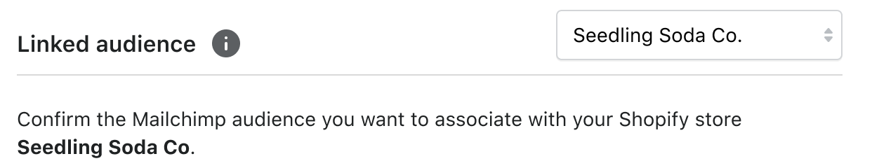 shopify-default-audience-figma