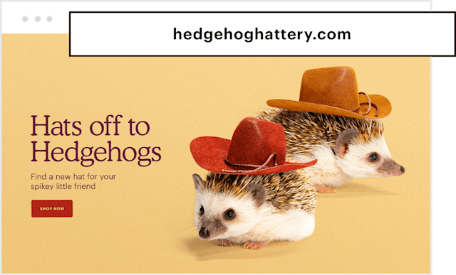 A landing page for a website that sells Hats for Hedgehogs