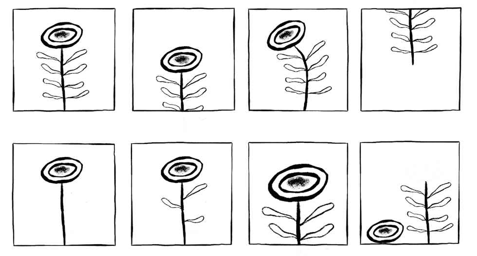 Illustration of the various stages of a flowers growth