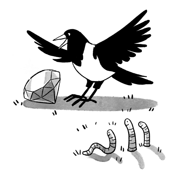 Bird, flying towards a shiny diamond, rather than wo