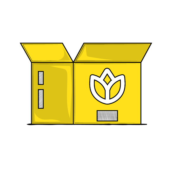 branding and packaging