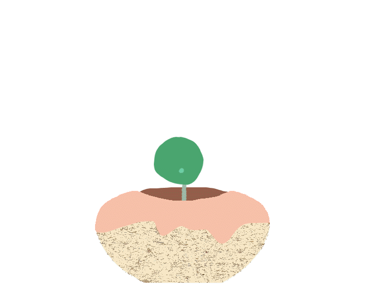 A simple illustration of a pink planter with a plant growing 