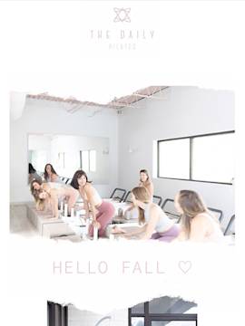 A thumbnail of an email sent by the Daily