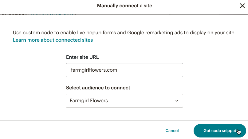 popup-audience-get-code-step
