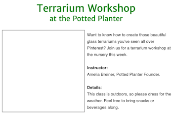 A section of a campaign that shows an image blocked that doesn't include alt text.